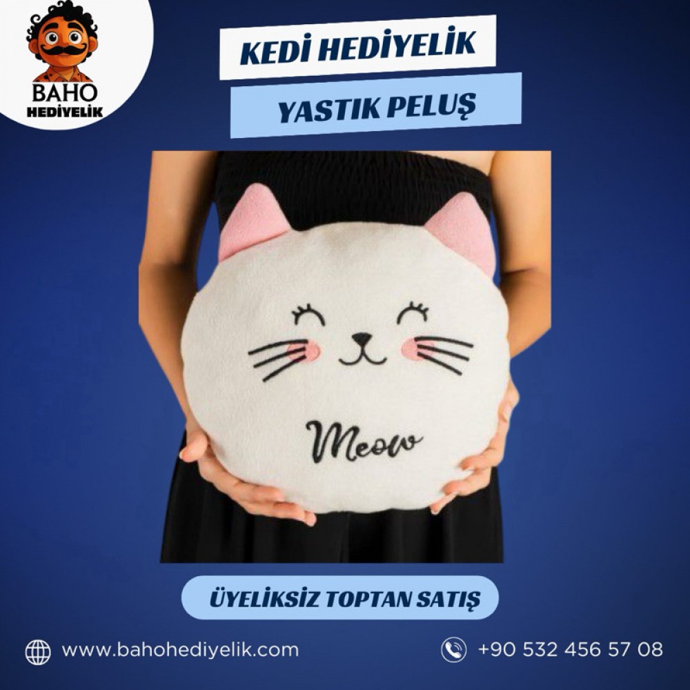 Kedi Yastık