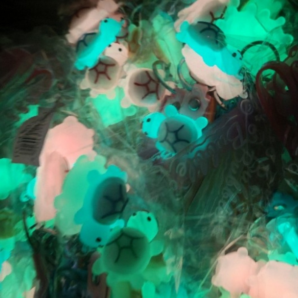 Yc-2 Fosforlu Kaplumbağa Anahtarlık