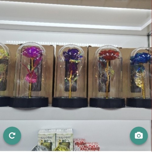 İys Sonsuz Güllü Fanus K12