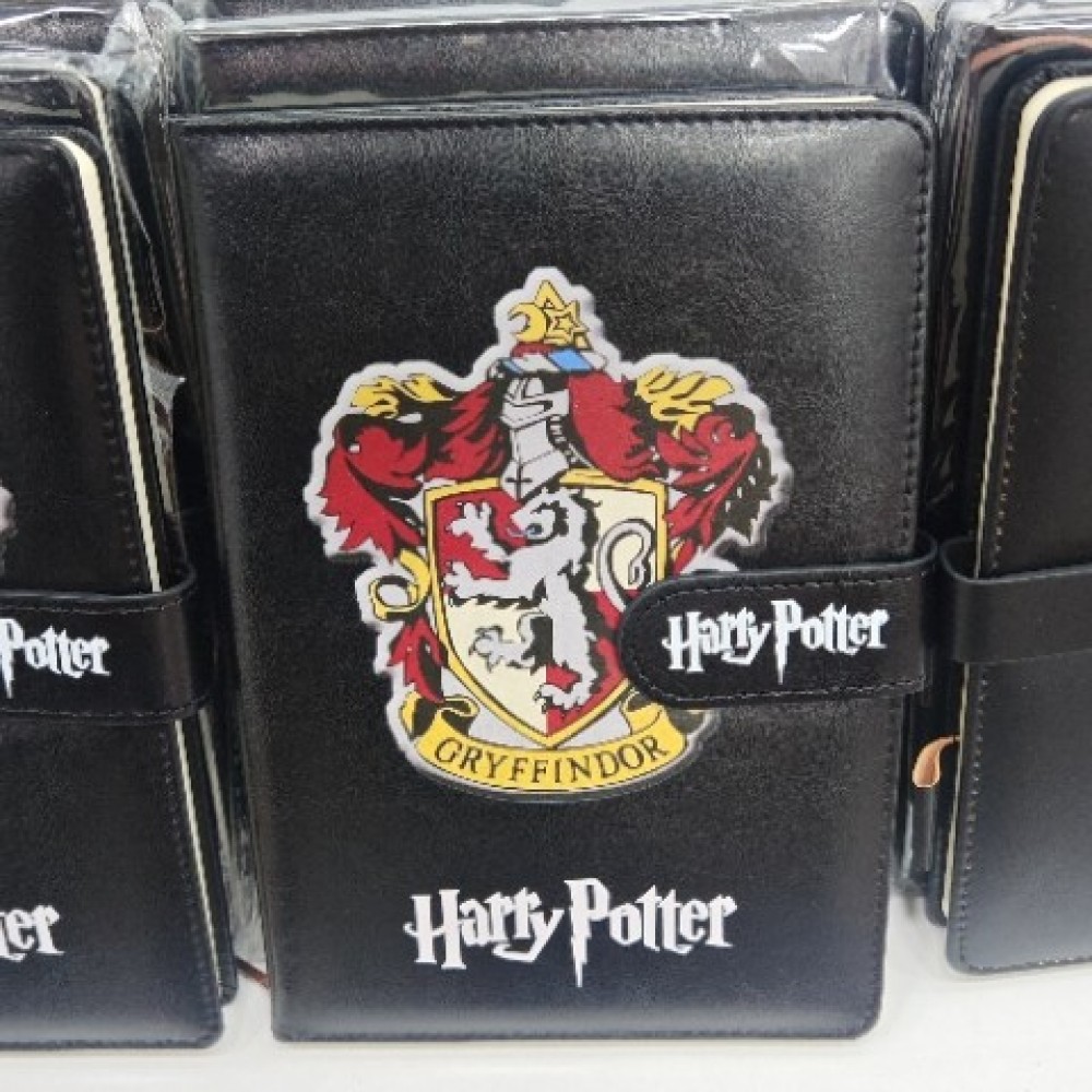 Df3 Harypoter Defter Deri K120