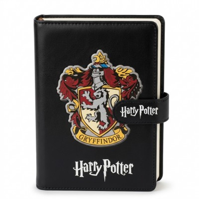 Df3 Harypoter Defter Deri K120