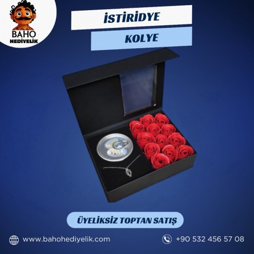 Bk01 İnci Kolye Çantalı K60