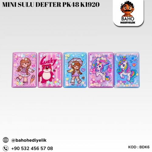 Bdk6 mini sulu defter pk48 k1920