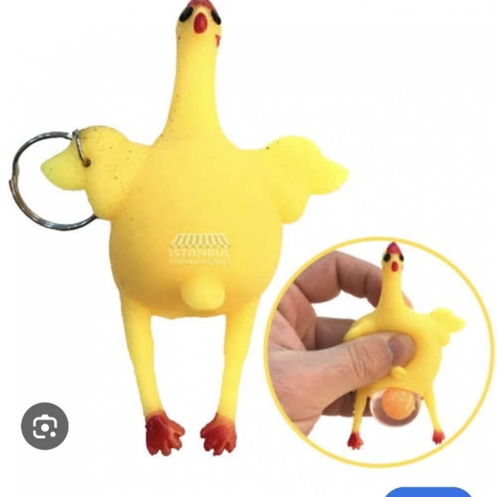 Vs2028 Yumurtlayan Tavuk k648