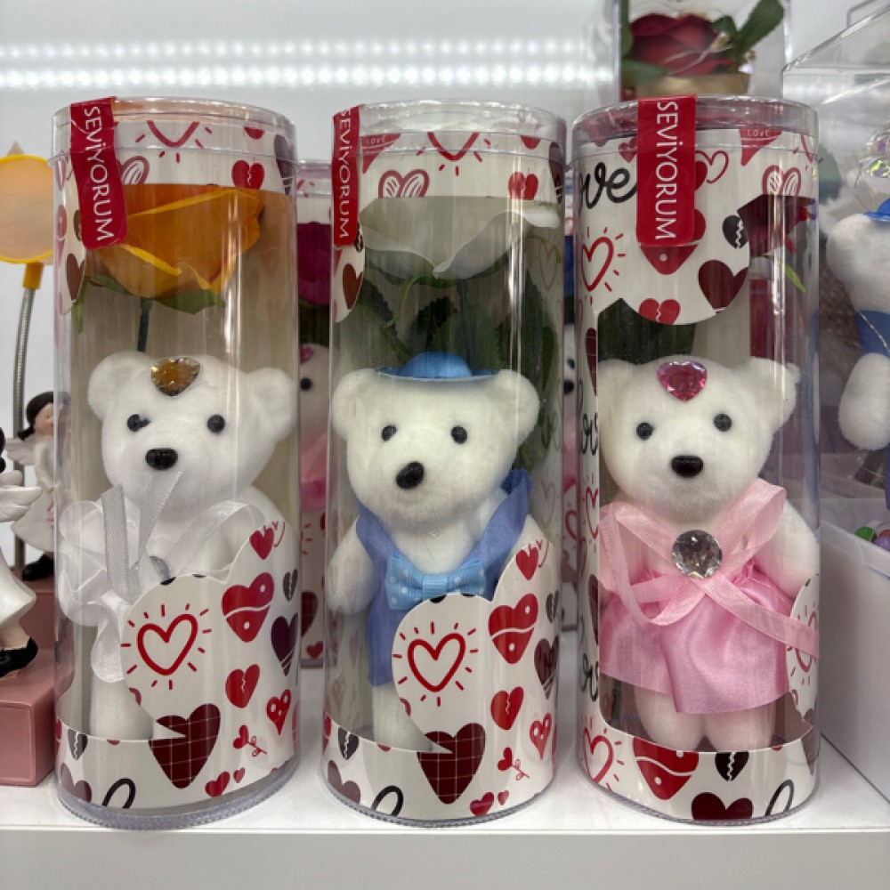 Mrt asetat kutu ayı