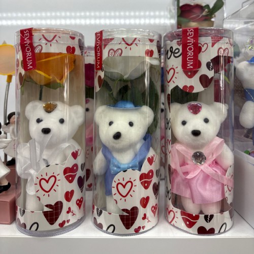 Mrt asetat kutu ayı