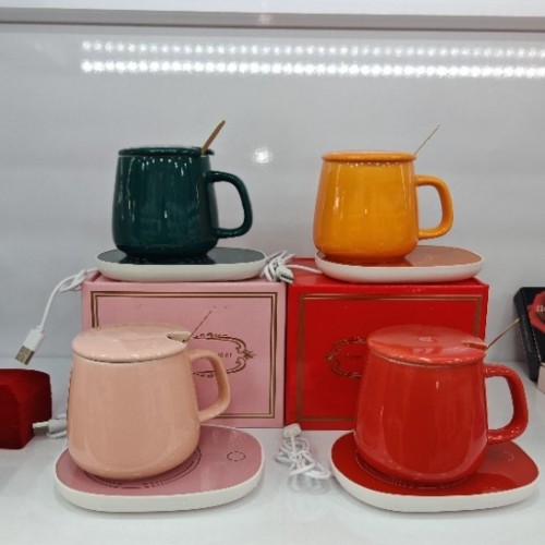 Isıtıcılı kupa k24