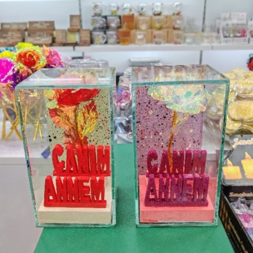 Lmn cam fanus canım annem k24