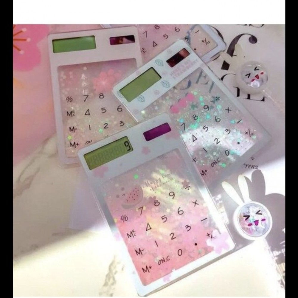 Dmr10066 hesap makinası k300