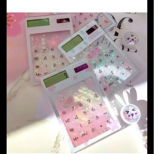 Dmr10066 hesap makinası k300