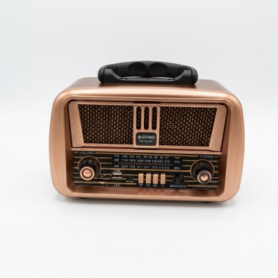 Fdn1800 radyo bt k24