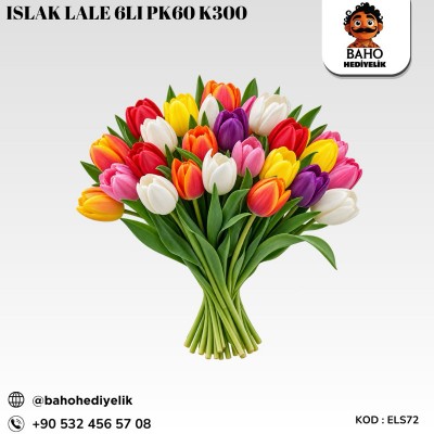 Els72 ıslak Lale 6lı düzüne  pk60 k300