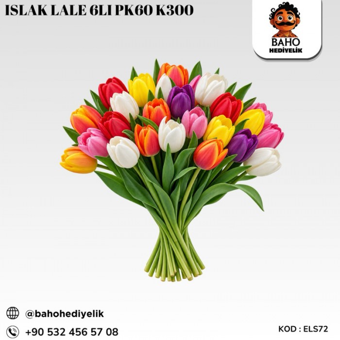 Els72 ıslak Lale 6lı düzüne pk60 k300
