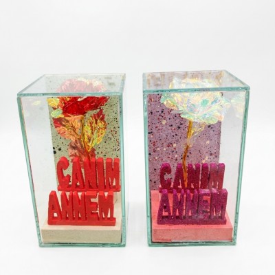 Lmn Cam Fanus Canım Annem K24