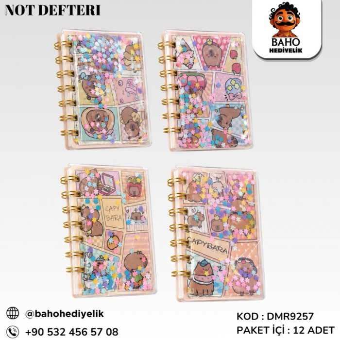 Dmr9257 Not Defteri Pk24