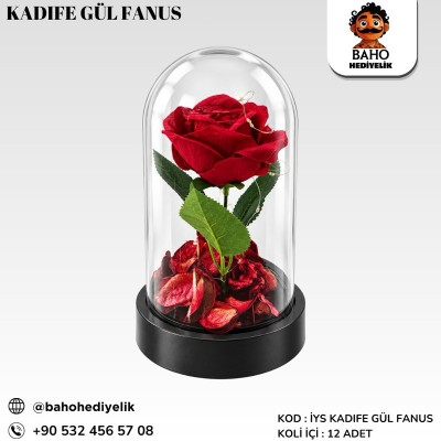 İys Kadife gül fanus k12