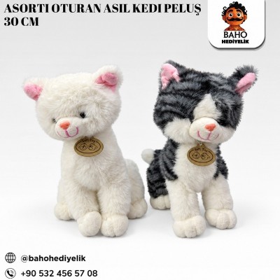Kr-Asorti Oturan Asil Kedi Peluş 30 cm