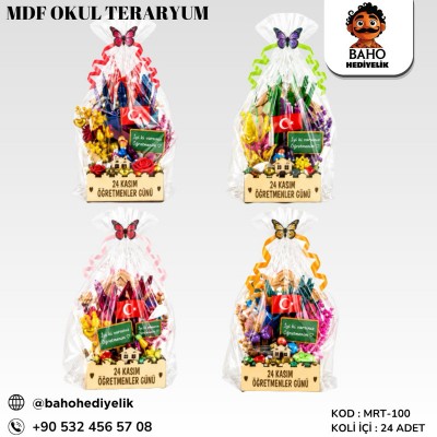 Mrt-100 Mdf Okul Teraryum -Öğr K24