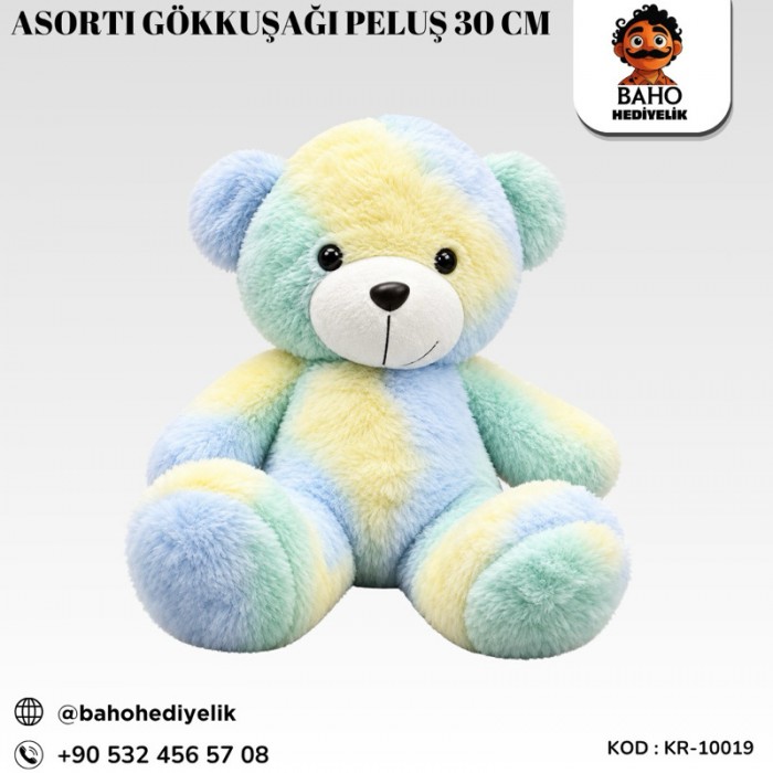 Kr-PLS10019 Asorti Gökkuşağı Peluş 30 Cm