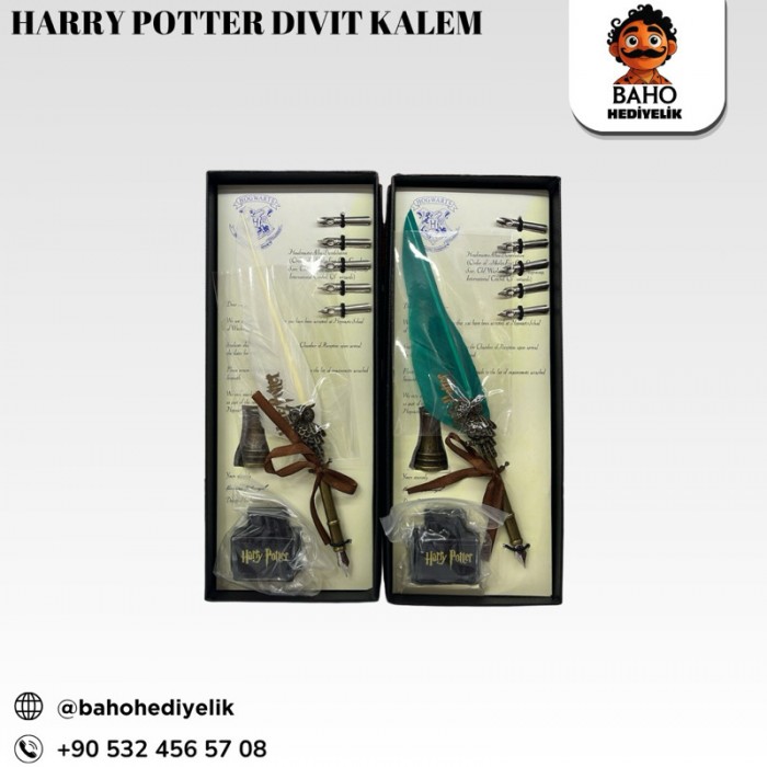 Harry Potter Divit Kalem