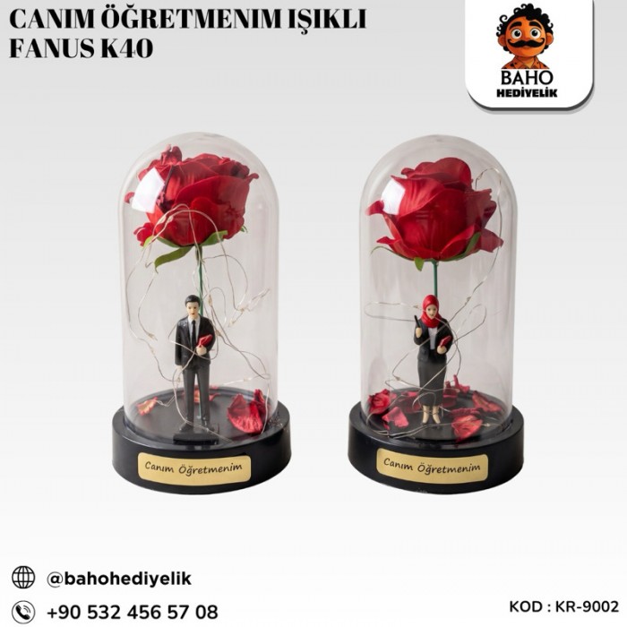 Kr-9002 Canım Öğretmenim Işıklı Fanus K40