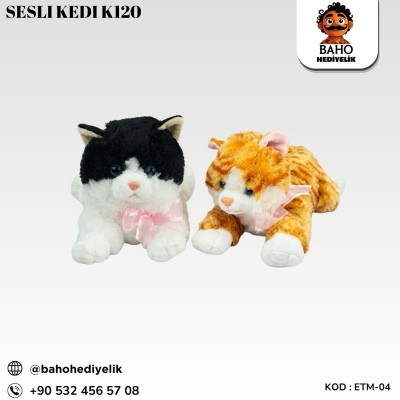 Etm-04 Sesli Kedi K120