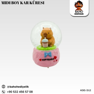 D12 Midi Kar Küresi